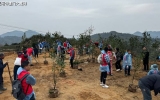 怎么样才能报名参加厦门军营村高山植树节活动?