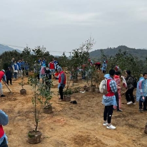 怎么样才能报名参加厦门军营村高山植树节活动?